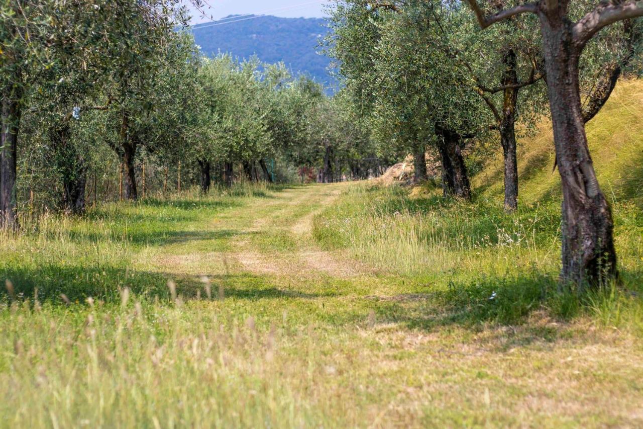 Casa Mandello Lägenhet Salò Exteriör bild